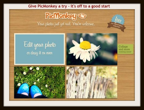 Screenshot of Picmoney from March 2012