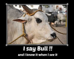I say bull, and I know it when I see it